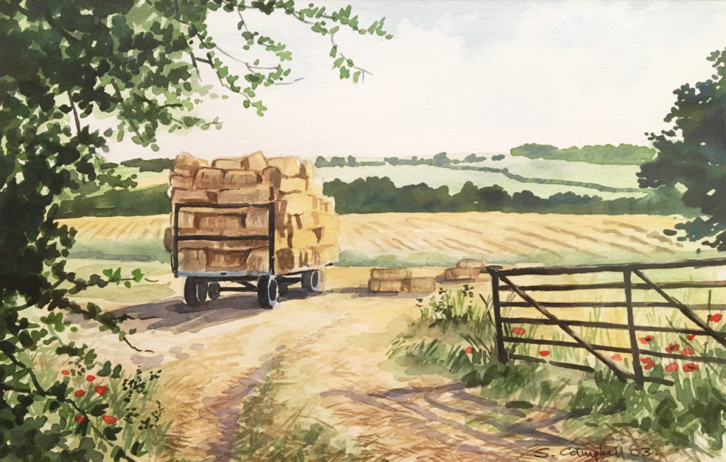 image of Cossall landscape by Sue Campbell